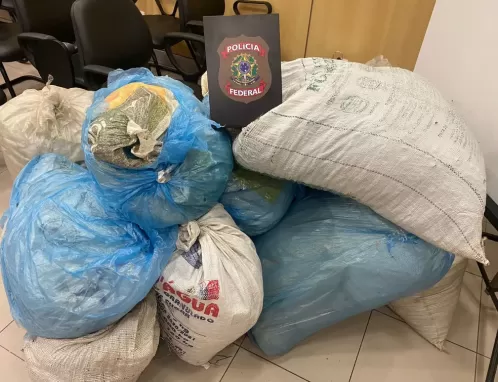 Polícia apreende 127 kg de maconha na zona rural de Carnaubeira da Penha