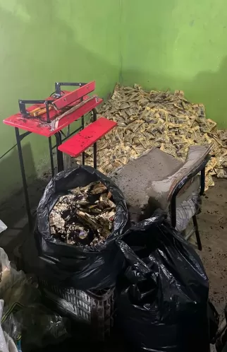 Fábrica clandestina de fumo é desarticulada pela polícia em Saloá