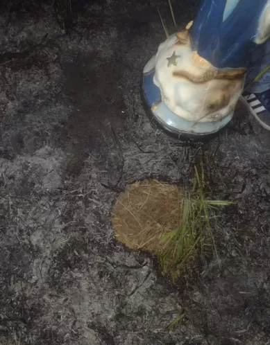 Idosa de 75 anos é assassinada em canavial na Zona da Mata Norte