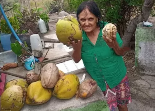 Suspeito de invadir casa para roubar e matar idosa a golpes de arma branca é preso em Ibirajuba