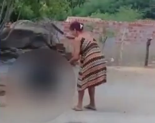 Mulher filmada matando cachorro de estimação a facadas em Pernambuco