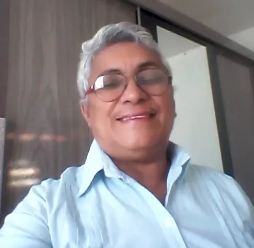 Enxame de abelhas provoca morte de mulher no interior de Pernambuco