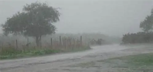 fortes chuvas causam alagamentos em Jurema nesta quarta-feira (15)