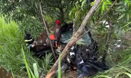 Médica morre e homem fica preso às ferragens após carro bater em árvore e cair em ribanceira