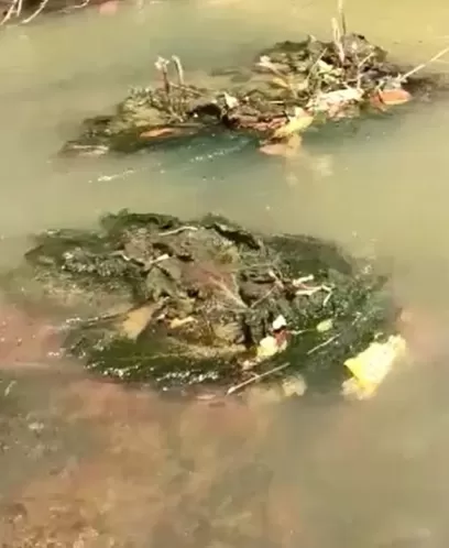 Mulher de 29 anos é achada morta às margens de rio em Moreno PE