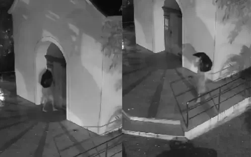 Com saco plástico para esconder o rosto, ladrão invade e rouba santuário em Olinda