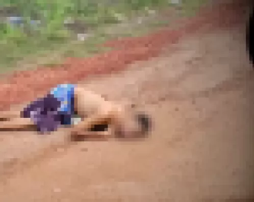 Rapaz envolvido com drogas é encontrado morto em estrada