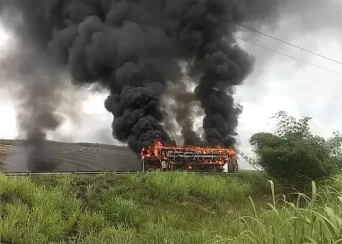 Ônibus pega fogo e fica completamente destruído na BR-101, em Ribeirão
