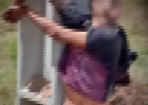 Desconhecido é encontrado morto e amarrado em poste da zona rural