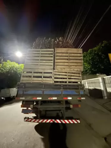 Caminhão é apreendido com carga de madeira nativa irregular em Santa Maria de Cambucá