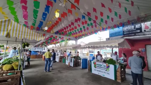 Feira de produtos orgânicos é inaugurada em São Benedito do Sul