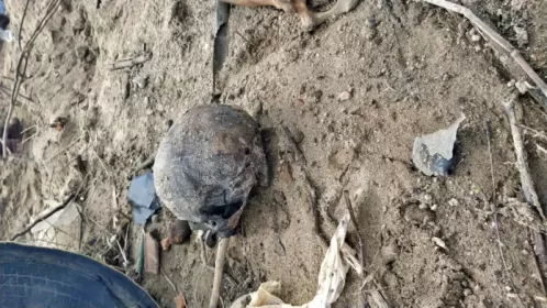 Esqueleto humano é encontrado às margens de rio em Vitória de Santo Antão