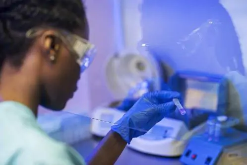 Morre mulher colonizada pelo superfungo Candida auris em Pernambuco