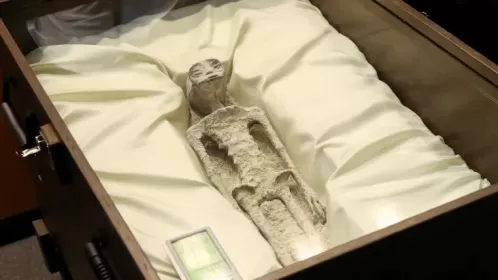 Corpos apresentados ao Congresso do México são “humanos demais” para serem ETs, analisa astrofísico