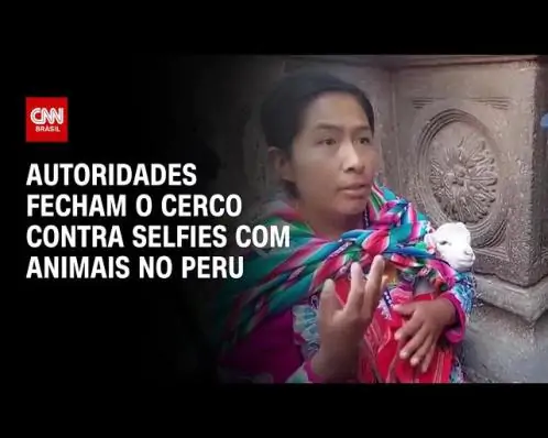 Peru fecha o cerco contra selfies pagas com lhamas e alpacas em cidade turística