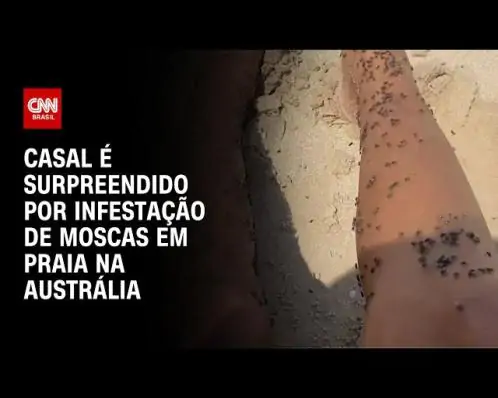 Casal é surpreendido por infestação de moscas em praia na Austrália