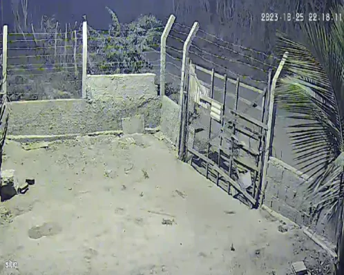 Tremor de terra é registrado em São Caetano, no Agreste de Pernambuco