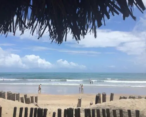 Maré vermelha causa intoxicação em banhistas na praia de Maracaípe, no Litoral Sul de PE