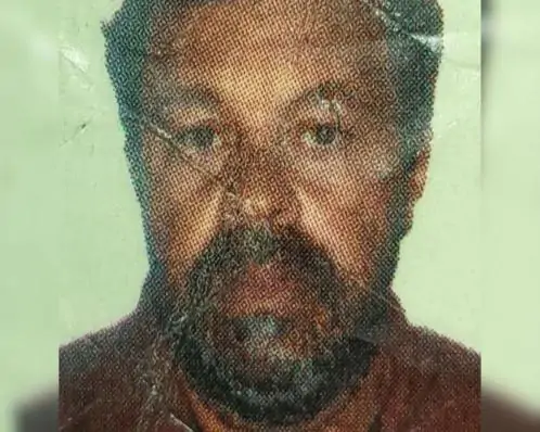 Homem de 49 anos morre após sofrer ataque de abelhas em Garanhuns, no Agreste