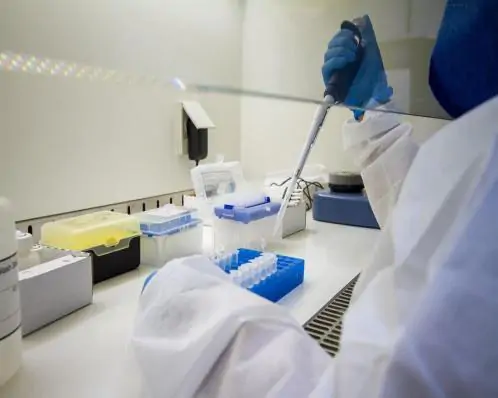 Pernambuco registra os primeiros casos da Febre Oropouche, informa SES; saiba como se prevenir