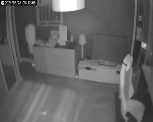 Terremoto de magnitude 5,3 atinge Portugal