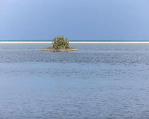 Ataque de tubarão deixa um turista italiano morto e outro ferido no Egito