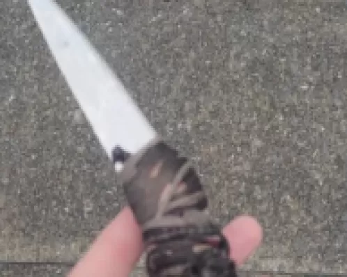 Homem que batia na mulher para deixá-la ‘feia’ é preso por guarda da lei Maria da Penha em BH