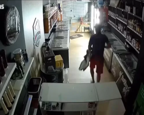 Criminosos são flagrados furtando produtos após invasão a uma loja de carnes
