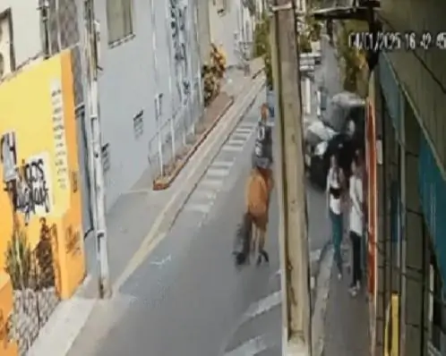 Adolescente e cavalo são arremessados após baterem em carro em Vitória de Santo Antão