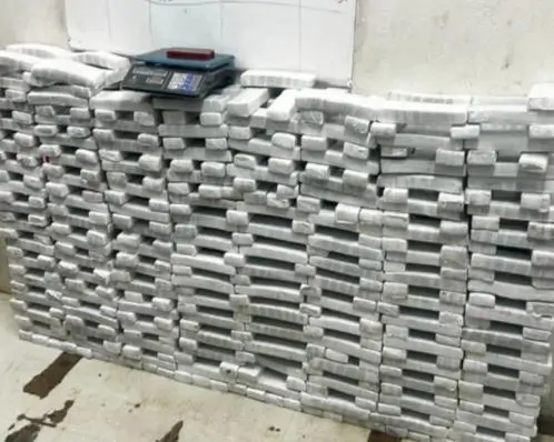 PM apreende quase 300 kg de maconha em operação em Itapissuma