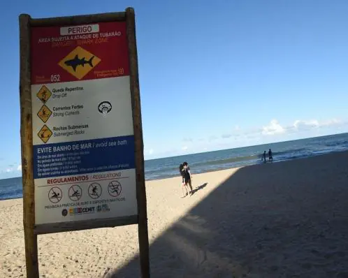 Criança é mordida por tubarão na Praia de Piedade