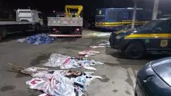 Cento e oitenta bandeiras de campanha política são recolhidas pela PRF em rodovia federal de PE