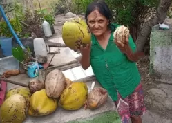 Suspeito de invadir casa para roubar e matar idosa a golpes de arma branca é preso em Ibirajuba