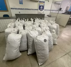 PM apreende cerca de 830 kg de maconha em Itacuruba