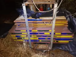 Dupla é presa no Sertão com cerca de 70kg de maconha