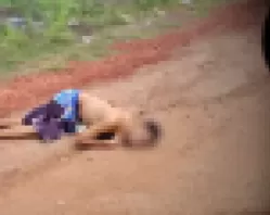 Rapaz envolvido com drogas é encontrado morto em estrada