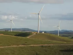 Empresa europeia inicia construção de parques eólicos em Poção