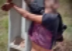 Desconhecido é encontrado morto e amarrado em poste da zona rural