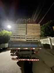Caminhão é apreendido com carga de madeira nativa irregular em Santa Maria de Cambucá