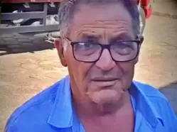 Idoso morre após ser atacado por abelhas