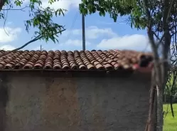 Homem tenta entrar na própria casa pelo telhado, mas morre ao ficar preso entre ripas e caibros