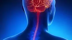 PE: Pernambuco confirma segunda morte por meningite este ano
