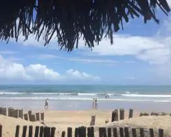 Maré vermelha causa intoxicação em banhistas na praia de Maracaípe, no Litoral Sul de PE