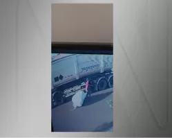 Imagem mostra homem arrastando saco com corpo de mulher trans no interior de SP